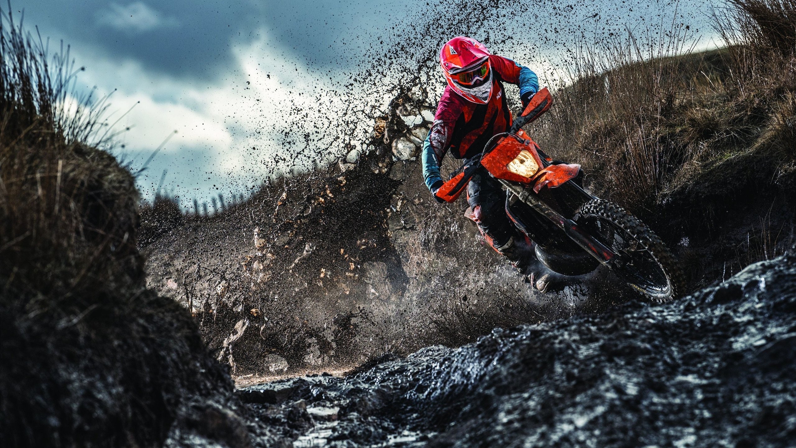 世界杯后：多个TED演讲以足球为例分析团队协作与领导力